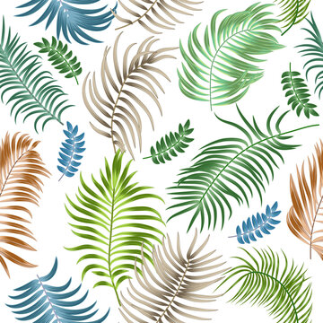Seamless pattern with tropical leaves of palm tree on white background. Botany vector background, jungle wallpaper.
