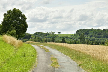 Route de campagne sous les cumulus de beau temps aux environs du bourg de Champagne au Périgord Vert  © Photocolorsteph