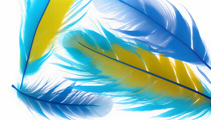 Beautiful blue and yellow feather closeup isolated on white background, wallpaper