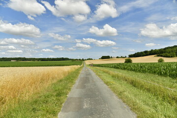 Route étroite de campagnes entre les champs d'agriculture près du bourg de Champagne au Périgord Vert 