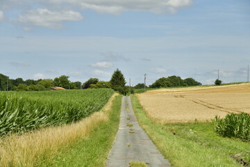 Route étroite de campagnes entre les champs d'agriculture près du bourg de Champagne au Périgord Vert 