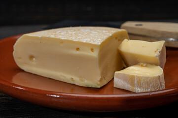 Cheese collection, French reblochon de savoie gratin cheese close up