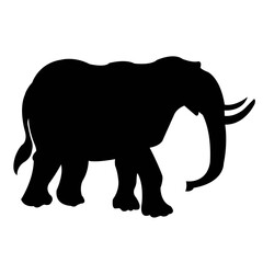 elephant isolated on white