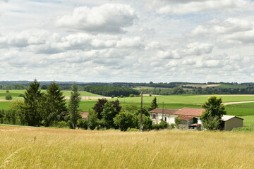 Champ de blé en pente près d'un hameau entre les bourgs de Champagne de de Fontaine au Périgord Vert  © Photocolorsteph