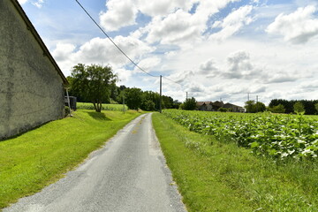 Route de campagne sous les cumulus de beau temps aux environs du bourg de Champagne au Périgord Vert  © Photocolorsteph