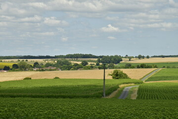 Fototapeta premium Contraste de luminosité entre les zones d'ombres sous les nuages et celles ensoleillée sur les champs d'agriculture à perte de vue entre le Puy de Versac et le bourg de Fontaine au Périgord Vert 