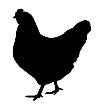 recommend clip art: silhouette of a hen