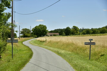 Route secondaire de campagne entre les végétation et champs de blé près du Puy de Versac au...