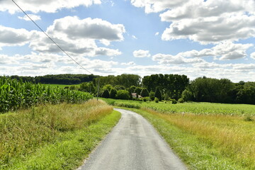 Route secondaire de campagne entre champs et prairies en été à Vendoire au Périgord Vert 