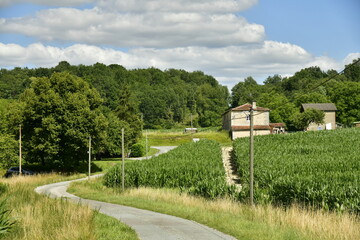 Route de campagne traversant la v&eacute;g&eacute;tation luxuriante entre bois et champs pr&egrave;s d'un hameau &agrave; Vendoire au P&eacute;rigord Vert 