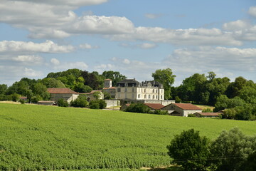 Obraz premium Paysage champêtre entre prairies ,champs et bois aux environs du château abandonné de Vendoire au Périgord Vert 