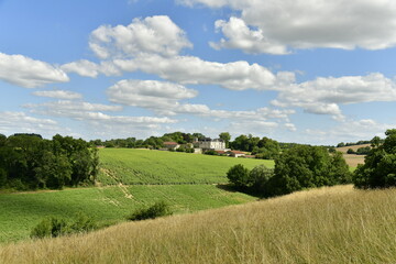 Fototapeta premium Zones de bois et d'agricultures sur les collines près du bourg de Vendoire au Périgord Vert 