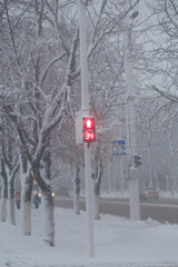 Red traffic light for pedestrians. Beautiful trees covered with snow on a winter snowy day, snowfall weather, vertical shot