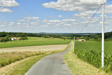 Fototapeta na wymiar Route secondaire de campagne entre les champs d'agricultures à Vendoire au Périgord Vert 