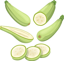 marrow vegetable set cartoon vector illustration color sign