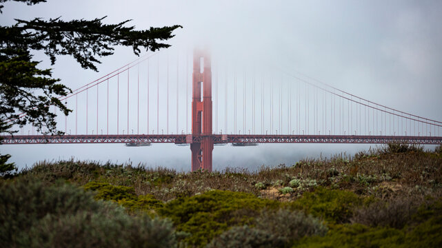 panorama of the golden gate bridge in san francisco during foggy weather; the famous red bridge emerging from behind the clouds, gloomy photo of the golden gate bridge