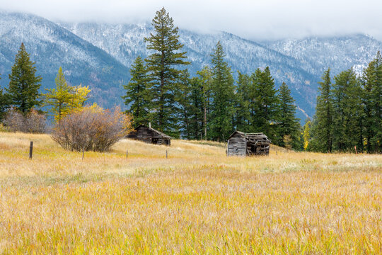 fall scene of an old cabin and shed in Montana with snowy mountains in the background.