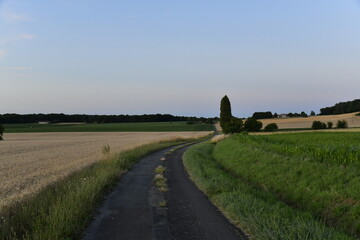 Paysage rural au crépuscule après le coucher de soleil près du bourg de Champagne au Périgord...