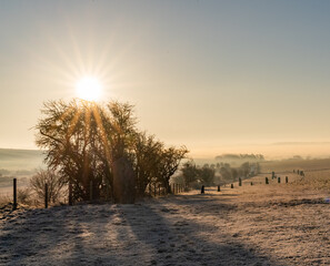 Avebury Stone Circle Neolithic and Bronze Age ceremonial site at dawn