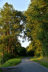 Naklejka premium Chemin forestier en bitume sous la lumière du coucher de soleil près du bourg de Champagne au Périgord Vert 