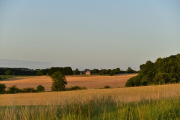 Paysage rural sous le coucher de soleil près du bourg de Champagne au Périgord Vert 