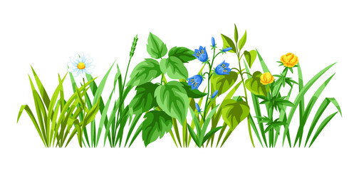Background with meadow flowers. Herbs and cereal grass. Beautiful decorative spring plants.