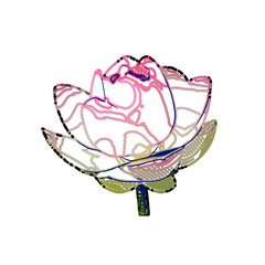 Color sketch of a lotus flower with transparent background