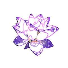 Color sketch of a lotus flower with transparent background