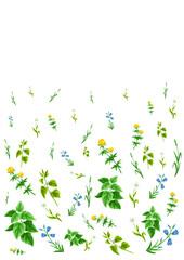 Background with meadow flowers. Herbs and cereal grass. Beautiful decorative spring plants.