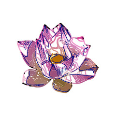 Color sketch of a lotus flower with transparent background