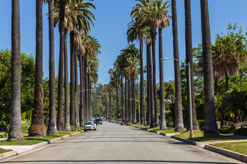 Los Angeles, California, USA, June 21, 2022: Palm trees street in Beverly Hills, Los Angeles.