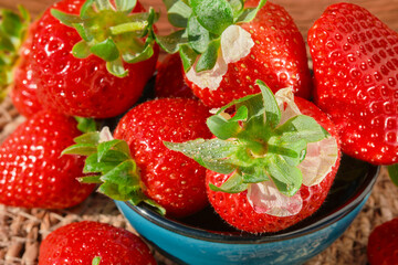 Strawberries with water drops in a bowl close-up on the harvested berry, natural sunlight, selective focus, strawberry spring season