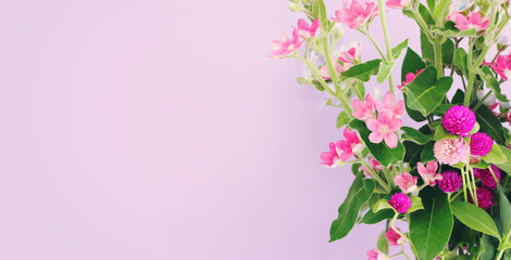 Top view image of pink and purple flowers composition over pastel background