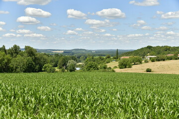 Paysage champêtre de plantation et de bois vert la vallée de la Lizonne et le bourg de Champagne au Périgord Vert 