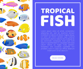 Tropical Fish Banner Design with Swimming Marine Creature Vector Template