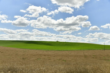 Fototapeta na wymiar Ciel nuageux et zone d'ombre sur une colline verte près du bourg de Champagne au Périgord Vert 