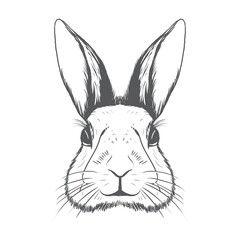 Bunny Head- Easter Day Bunny Head Isolated Black And White Bunny Vector Illustration Image