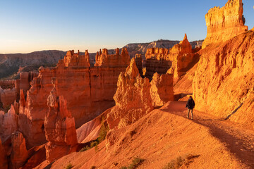 Woman hiking on the Navajo Rim trail next to Thor Hammer during sunset in Bryce Canyon National Park, Utah, USA. Scenic golden hour view of Sandstone Hoodoos in Bryce Canyon Amphitheatre on sunny day