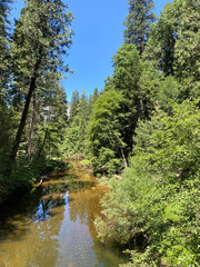 The Merced River threads through Yosemite National Park in a stretch popular for boating and whitewater rafting, in California, USA.