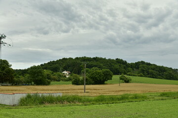 Fototapeta na wymiar Champs de blé sous un ciel orageux près du bourg de Champagne au Périgord Vert 