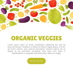 Fresh Vegetables Banner Design with Ripe and Juicy Garden Crop Vector Template