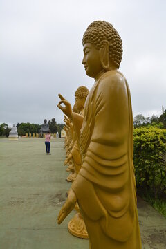Buda