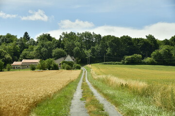 Fototapeta na wymiar Chemin de campagne en bitume entre les prairies et les champs de blé près du bourg de Champagne au Périgord Vert 