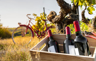 Caisse de vin et vieux vélo rouge dans les vignes en France. - 574413162