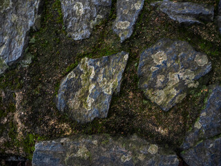 imagen textura pared de piedras de distintos tamaños con las juntas de cemento llenas de musgo