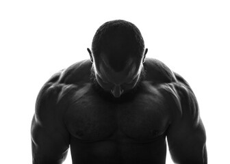 Fitness model