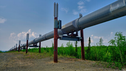 The architecture of the Trans-Alaska Oil Pipeline near North Slope in Alaska showing the heat vanes to help draw the oil's heat upward and away from the permafrost ground