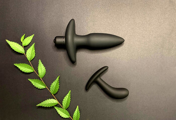 Sex toys, anal toys. Butt plug and prostate massager on black background. Men sex toy. Flat lay