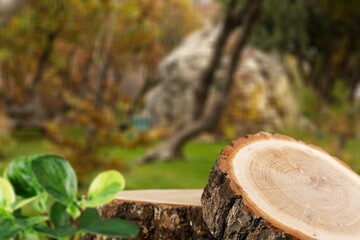 Empty wood podiumin nature outdoor garden