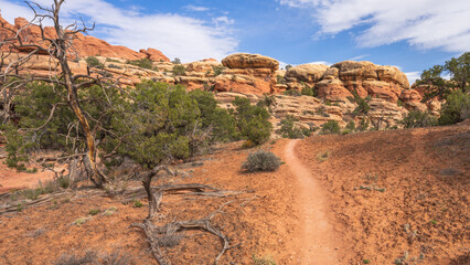 hiking the chesler park loop trail in the needles in canyonlands national park, usa